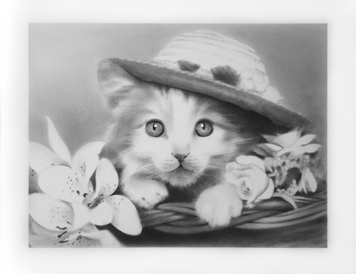 Kitten by ANNA CHOLAK
