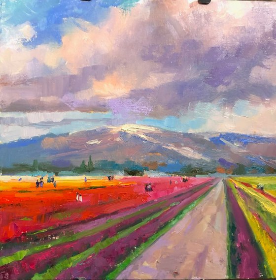 Pink Cloud