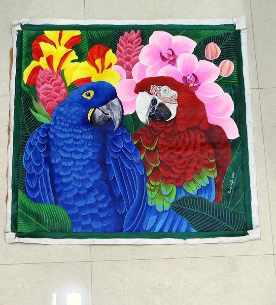 Macaw Magic