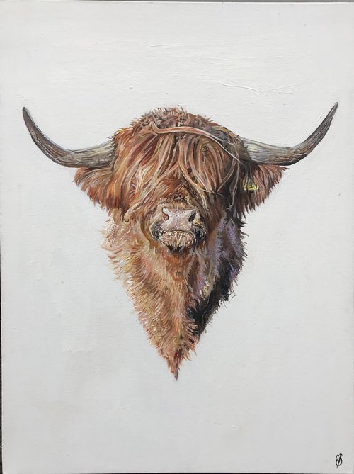 Highland Cow by Ceri Baker