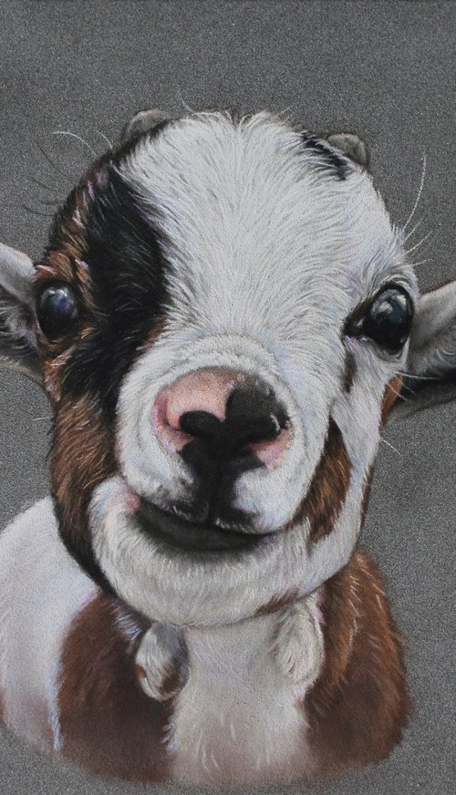 Little Goat by Tatjana Bril