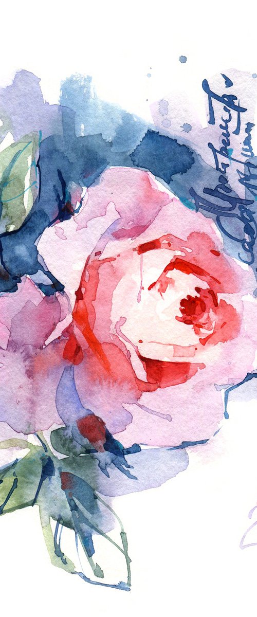 "Glow" watercolor sketch of an orange and coral English rose, "Letters from the Garden" series by Ksenia Selianko