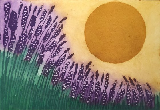 Lavender Sunshine