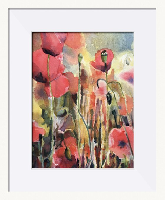 Watercolour Poppy Fields