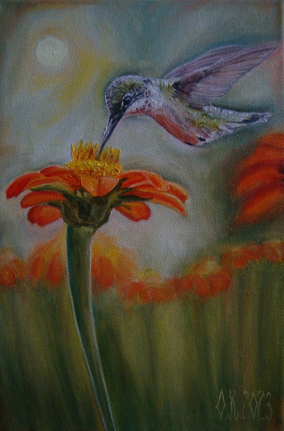 Hummingbird