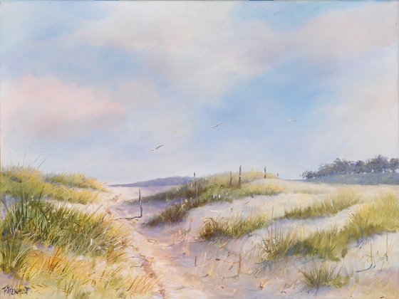 In the dunes