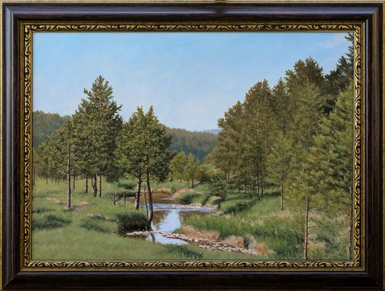 Pine Trees and a Mountain Stream