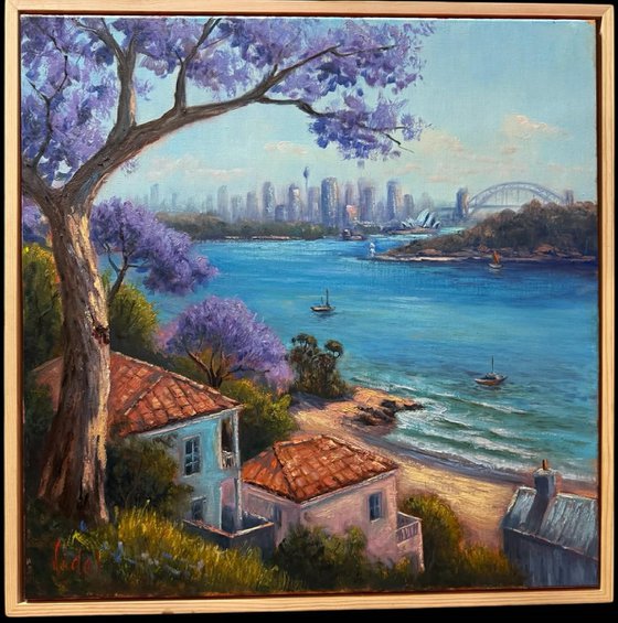 Morning Views Sydney