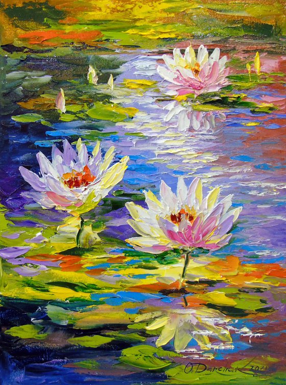 Water lilies in the pond