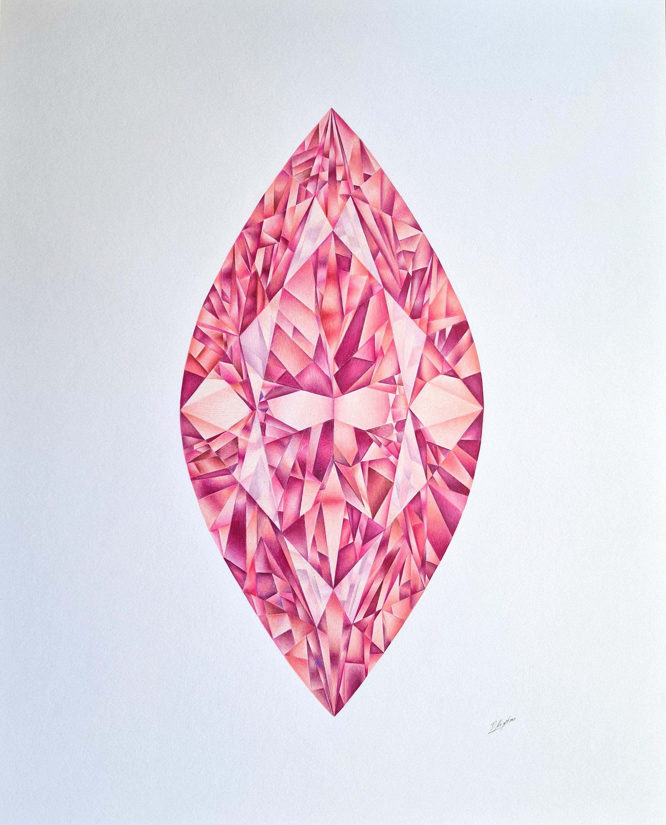 Photorealistic Still Life Pencil Drawing By Daniel Shipton, 16 X 20, Marquise Cut Pink Diamond, Original Artwork