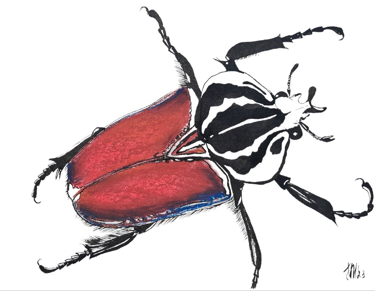 Animal Pastel Drawing By Yuliia Sharapova, 13 X 11", Goliath Beetles Insects, Original Artwork