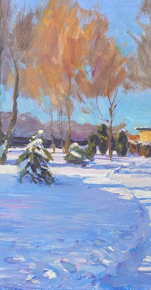Winter sun day by Olga Samar