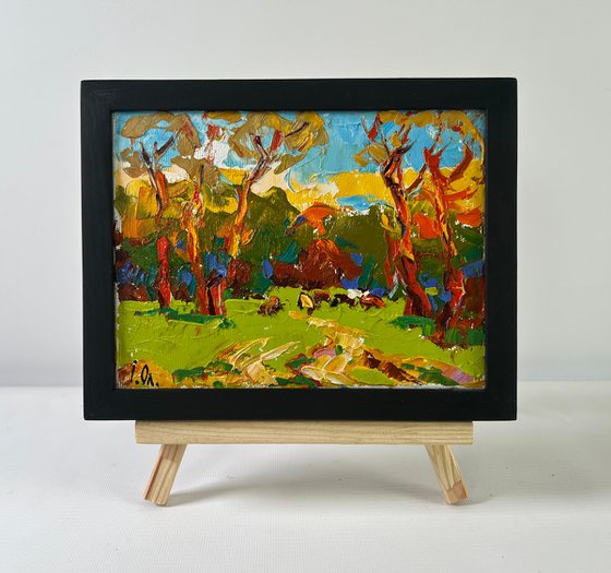 Summer evening in the forest