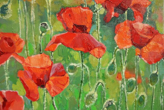 When The Sun Touches The Red