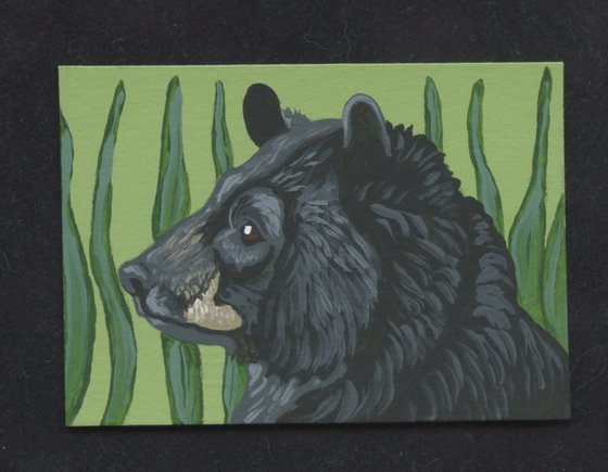 ACEO ATC Original Miniature Painting Black Bear Wildlife Art-Carla Smale