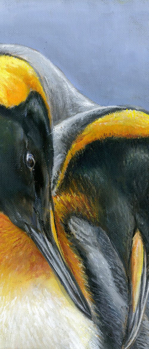 King penguins by Una Hurst