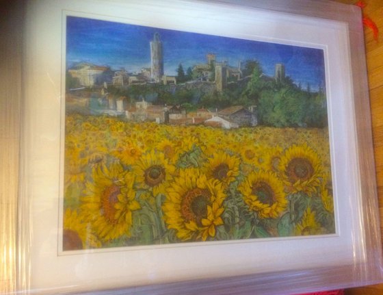 Sunflower Fields near Pals