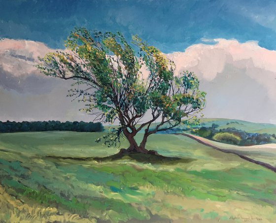 'Isolated Tree, in Spring, in Fife'