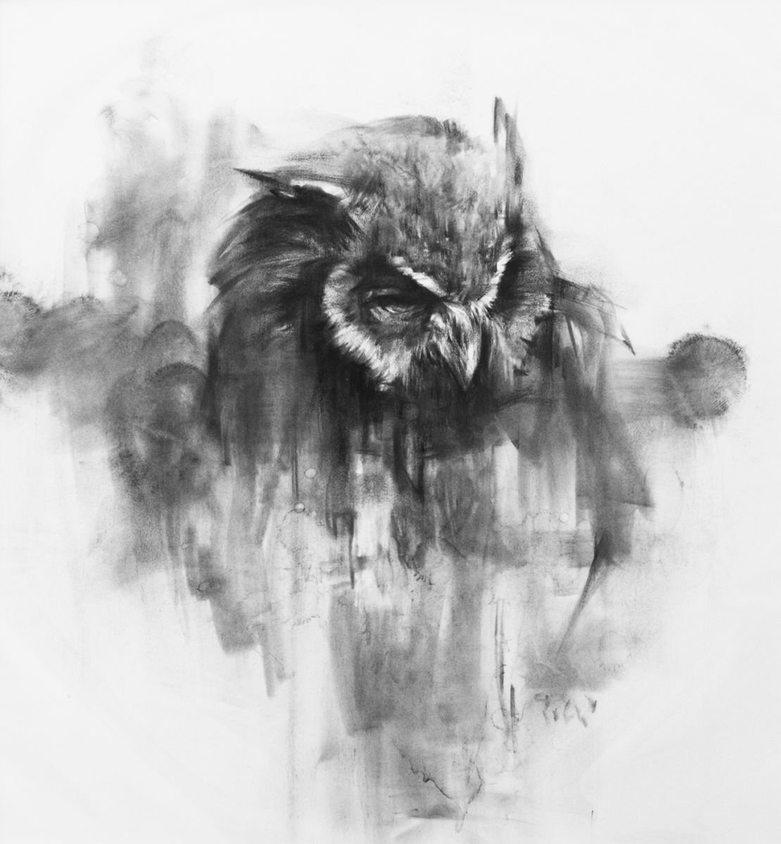 owl 031 Charcoal drawing by Tianyin Wang
