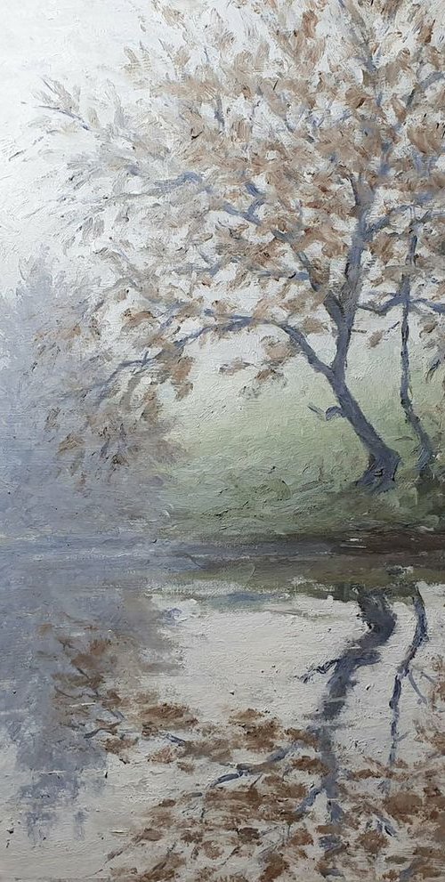 mist on the river II by Colin Ross Jack