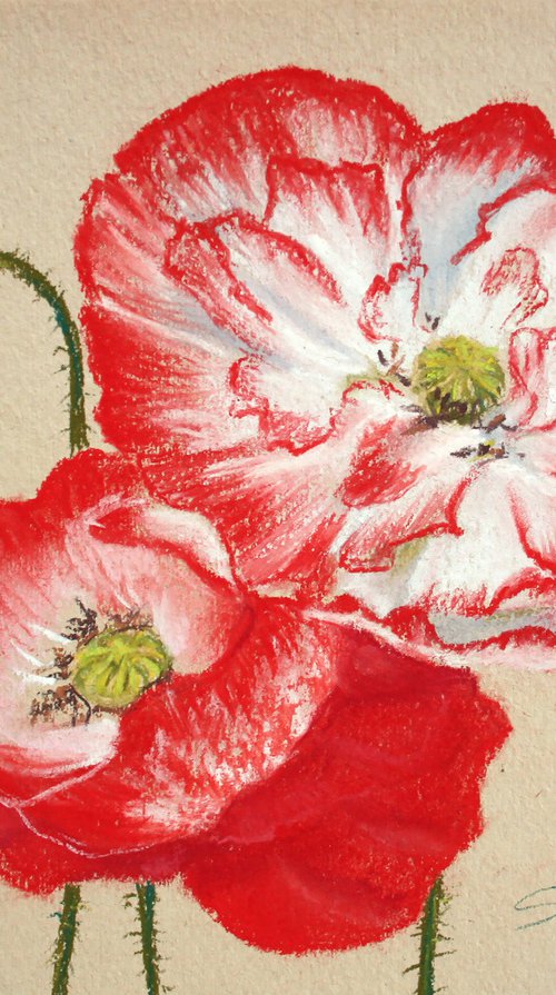 Poppies  / ORIGINAL PAINTING by Salana Art