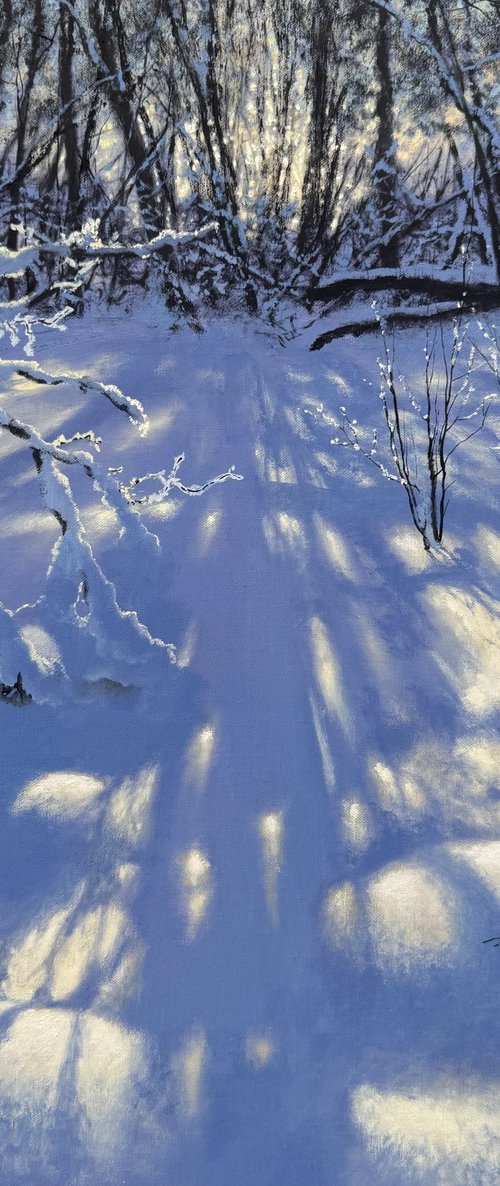 Winter lace by Igor Dubovoy