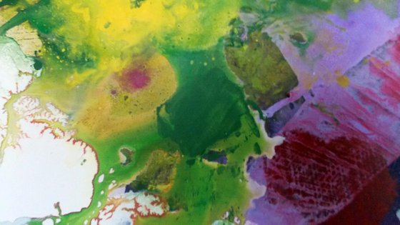 THE FREENZY OF COLOURS