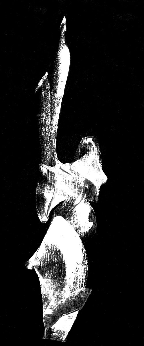 Standing Up For It by Newel Hunter