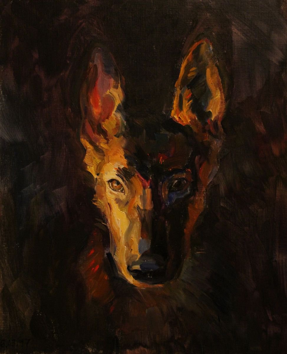 Animal Dog Child Wolf France Louveteau by Alexandra L. ZELTSER
