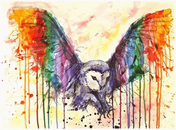 "Rainbow owl"