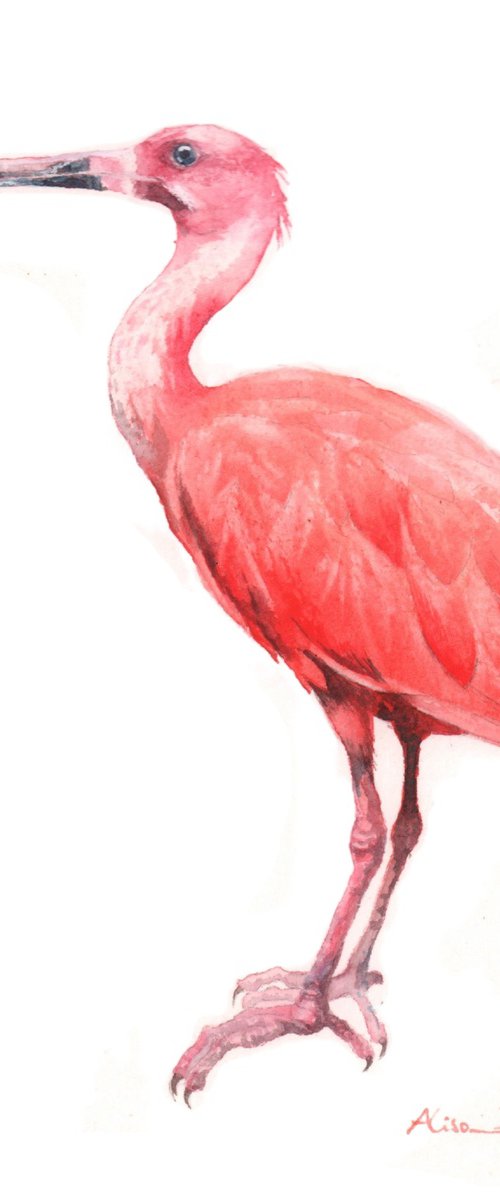 Scarlet Stance by Alison Fennell