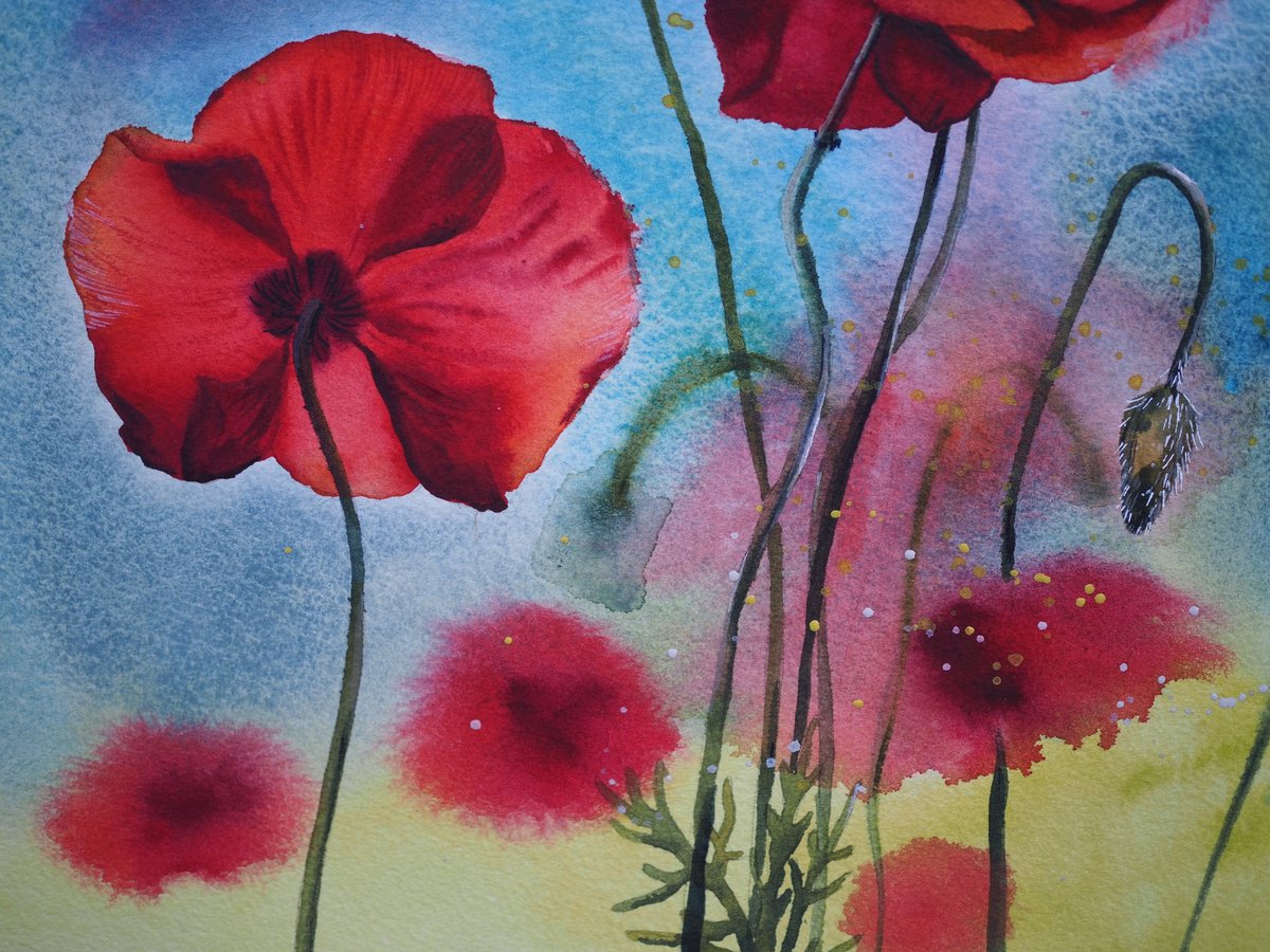 Expressive poppies by Delnara El