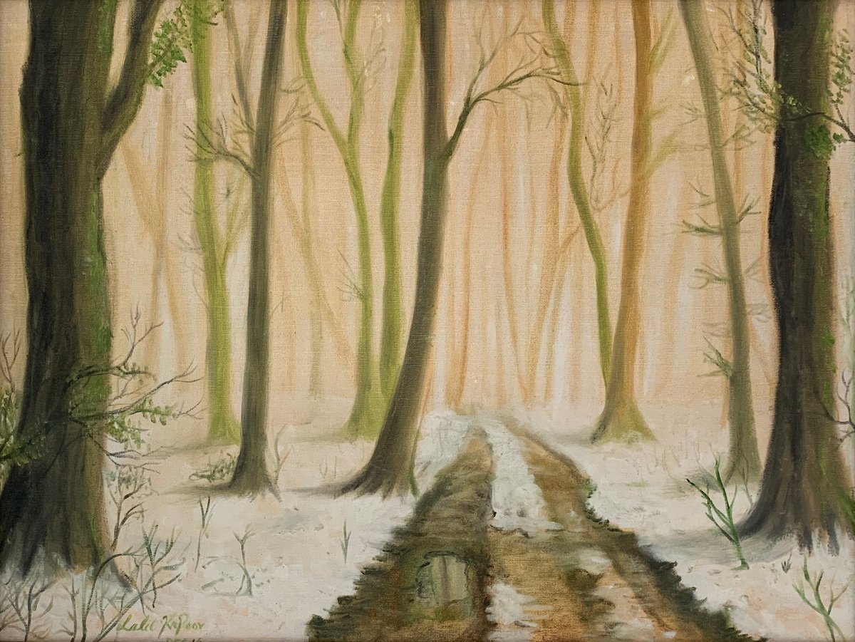 Snow Path by Lalit Kapoor