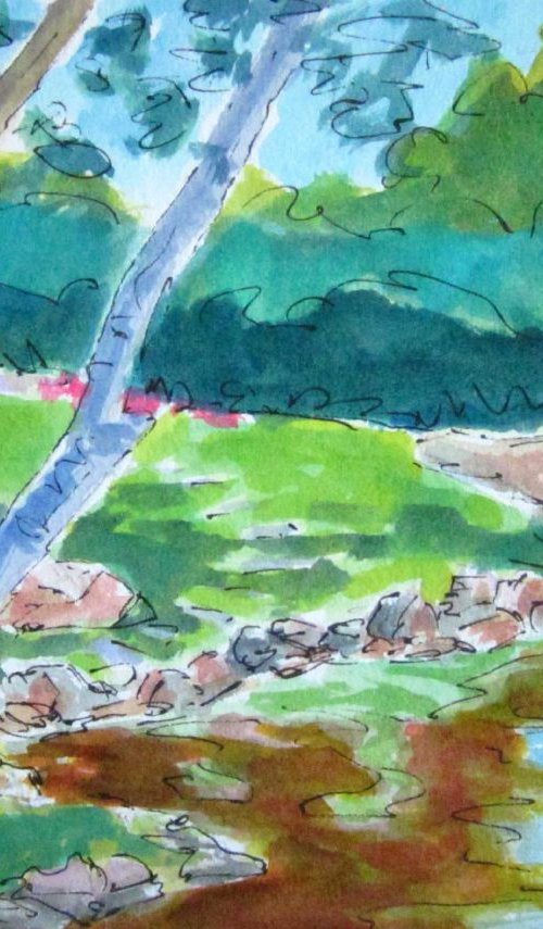 Shoreline, Marblehead Pond by Jimmy Leslie