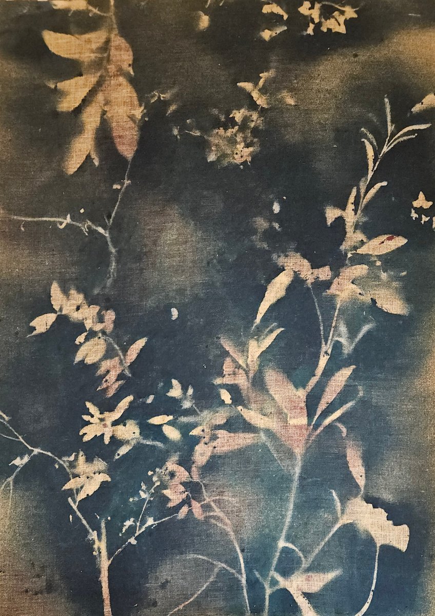 Surrealistic Botanical Acrylic Painting By Stefano Mazzolini, 59 X 79", Rf4748, Original Artwork