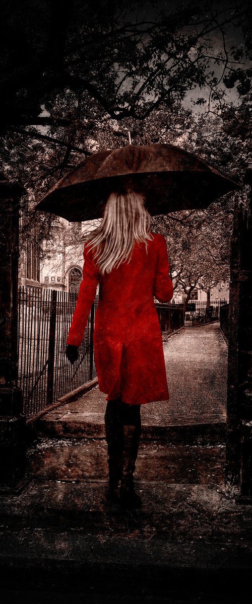 The Girl in the Red Coat by Martin  Fry