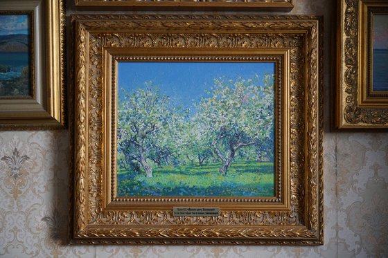 Apple tree in bloom. Kolomenskoye