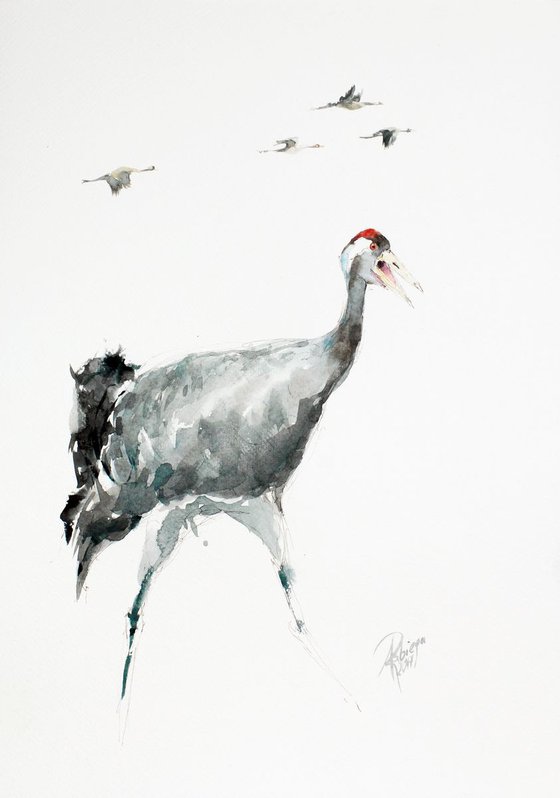 cranes (Grus grus)