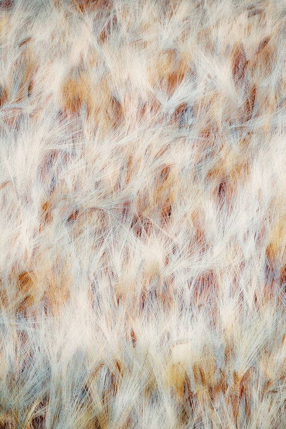 Dancing grains (studio 4)