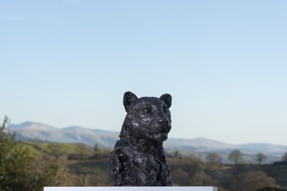 Leopard Portrait Bronze Resin