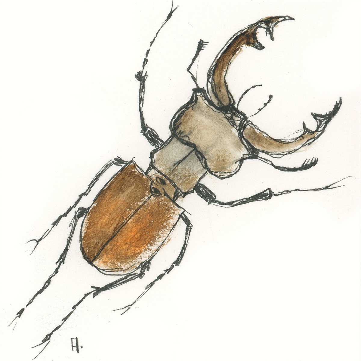 bug by Anton Maliar