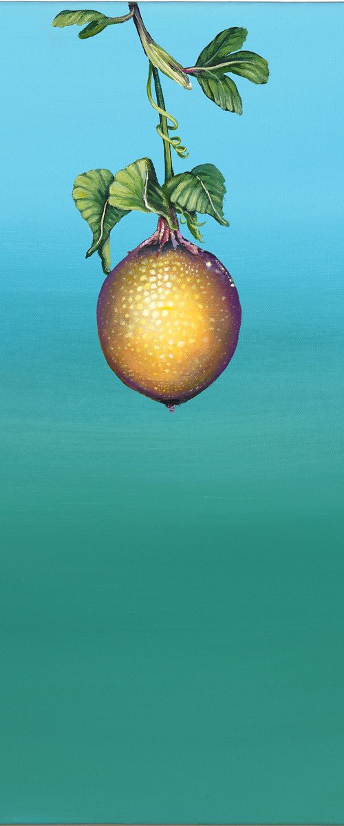 O Maracjua-Passion Fruit Mini1 by Deborah Jones