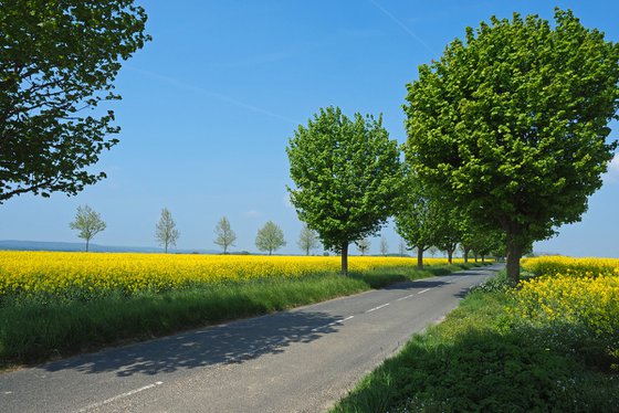 Le Vexin au printemps