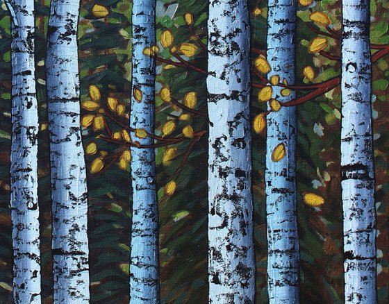 Autumn Birch Woods