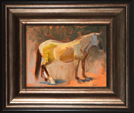 The Blind Mare