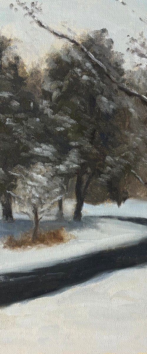 Snow in Prospect Park by Stanley Chu