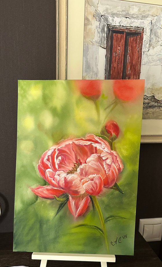 Floral: Coral Peony 1