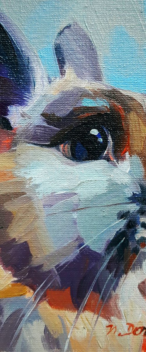 Little rabbit by Nataly Derevyanko