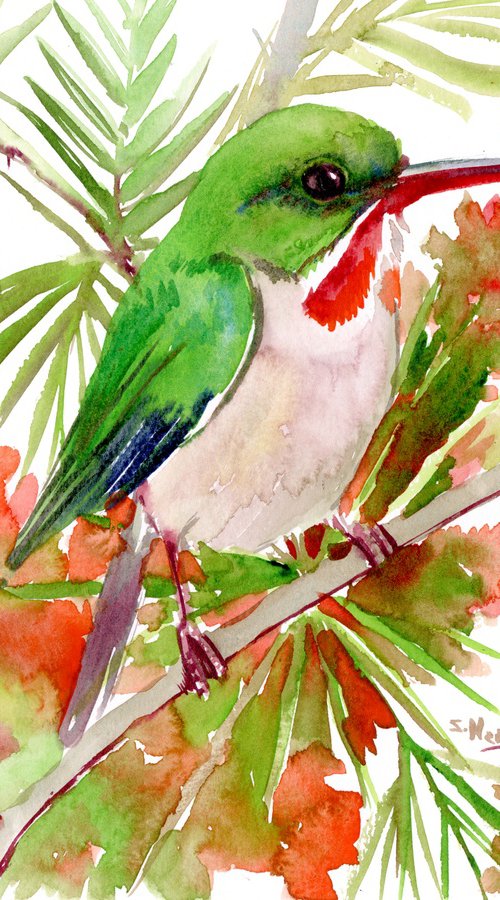 Puerto Rican Tody by Suren Nersisyan