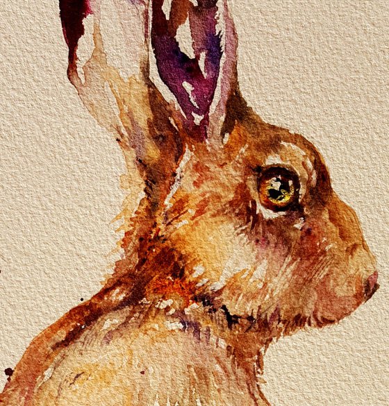 Purple Ears Hare